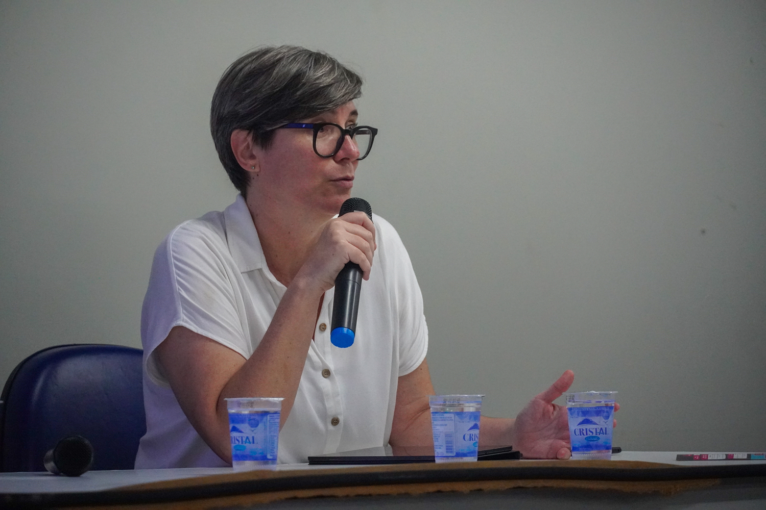 Para a coordenadora do PPGCOM/UFS, Greice Schneider, o curso representa a maturidade do programa e um avanço para todo o estado.